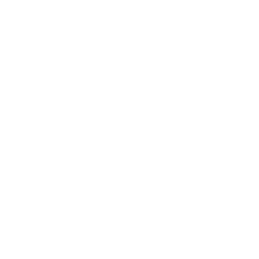 Fast Support